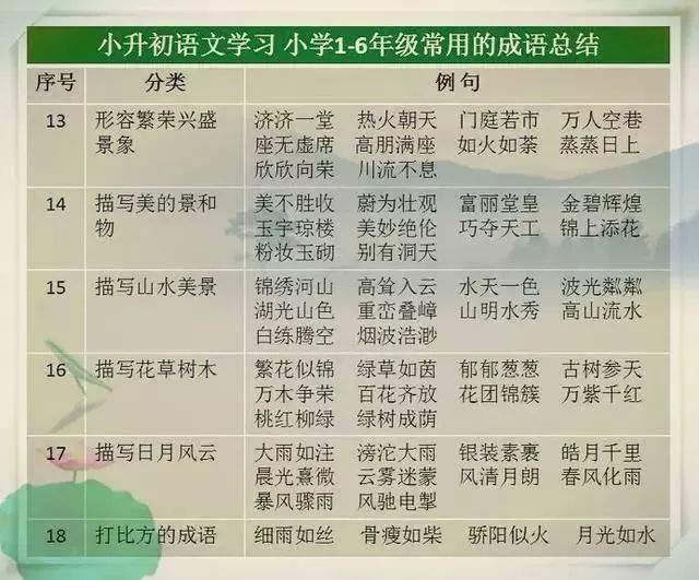 2024年天天开好彩资料,收益成语分析落实_WP19.056