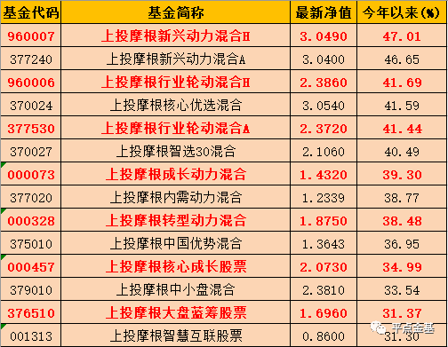 新奥门天天开将资料大全,准确资料解释落实_专业版150.205