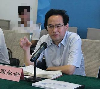 石家庄常务副市长角色与担当解析