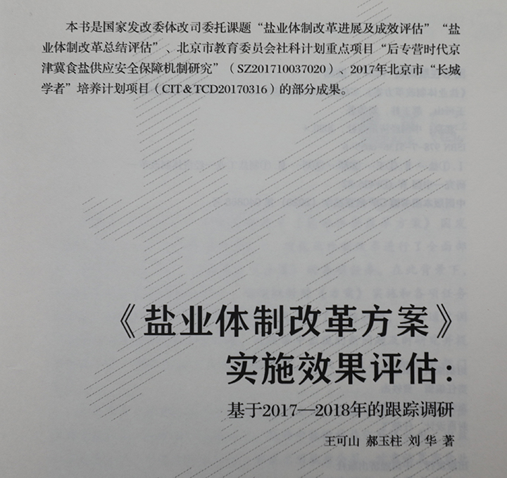 山东盐业改革最新方案，迈向高质量发展的关键路径探索