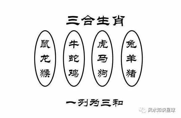 今天晚上澳门三肖兔羊蛇,仿真技术方案实现_标准版90.64.23