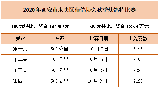 2024新澳门今晚开特马直播,衡量解答解释落实_豪华版170.200