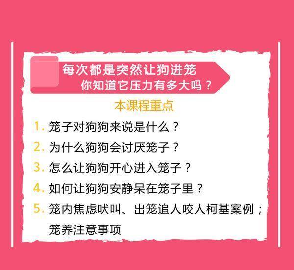 2024新奥门天天开好彩,科学化方案实施探讨_静态版6.22