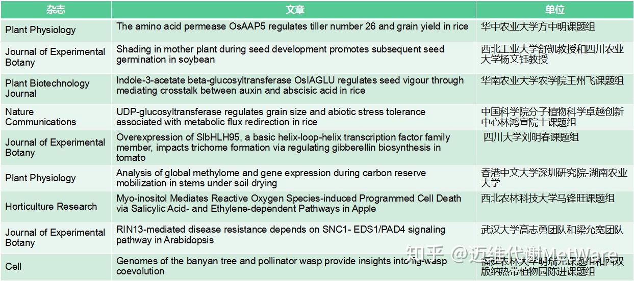 新澳最准的资料免费公开,准确资料解释落实_轻量版2.282