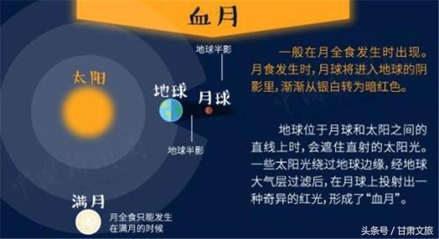 今晚澳门特马开什么号码,科学化方案实施探讨_极速版39.78.58