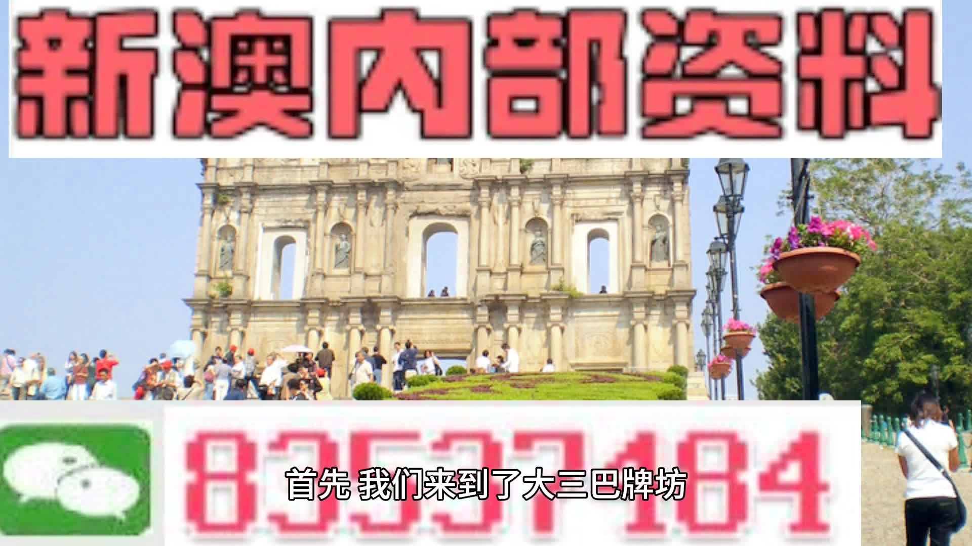 新澳门资料,效率资料解释落实_游戏版256.183