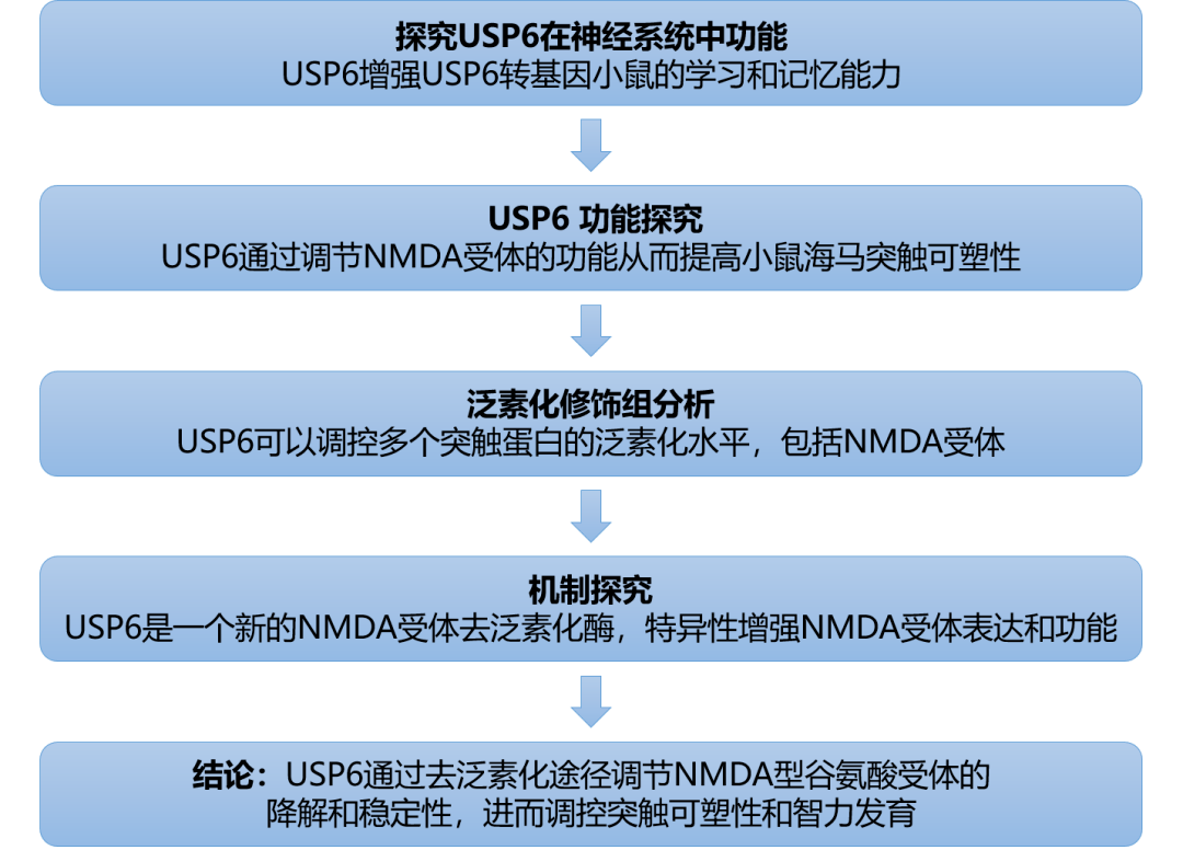 新澳2024年正版资料,平衡性策略实施指导_Android256.183