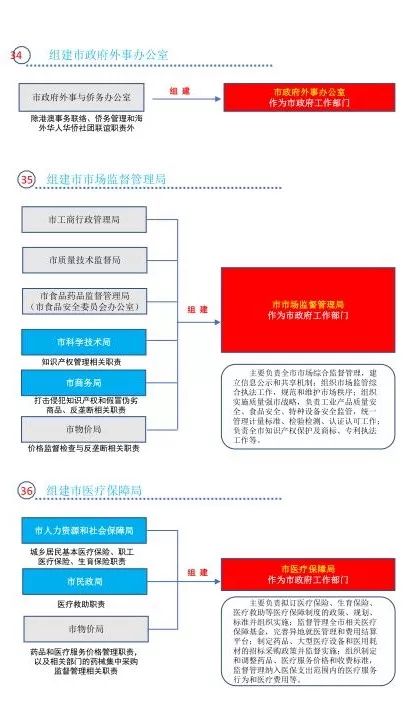 新澳彩资料免费资料大全,决策资料解释落实_2英寸手机