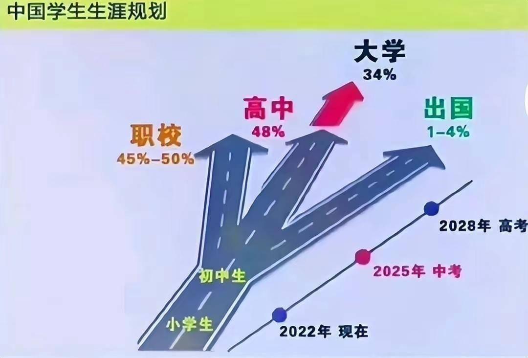 2024全年经典资料大全,重要性解释落实方法_精英版201.123