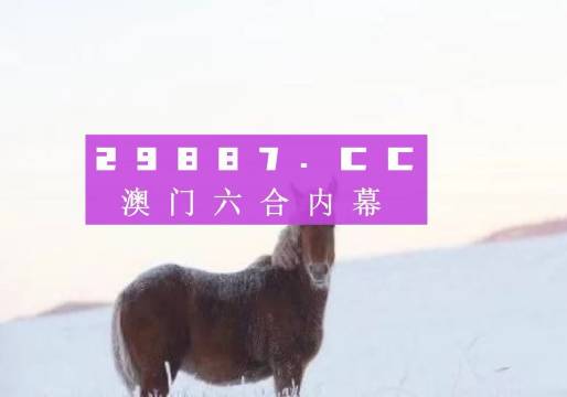 新澳门精准资枓,经典解释落实_豪华版8.713