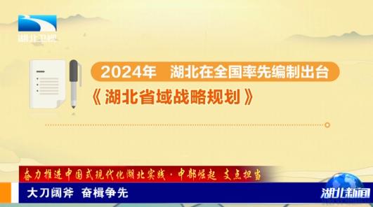 三期必开一期三期必出特含义,最新核心解答落实_交互版3.688