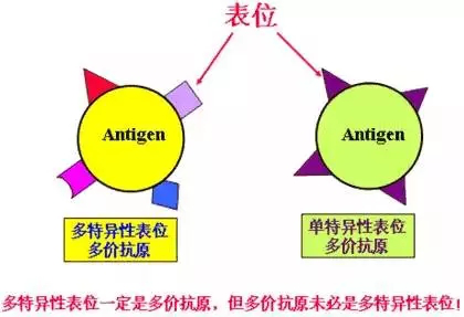 天空之城 第2页