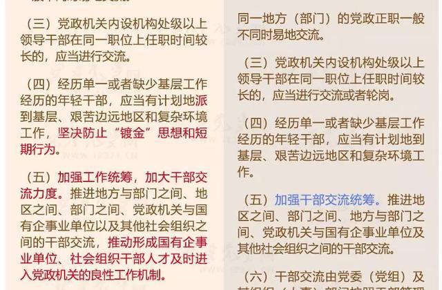 新澳精准资料期期精准24期使用方法是什么,确保成语解释落实的问题_win305.210