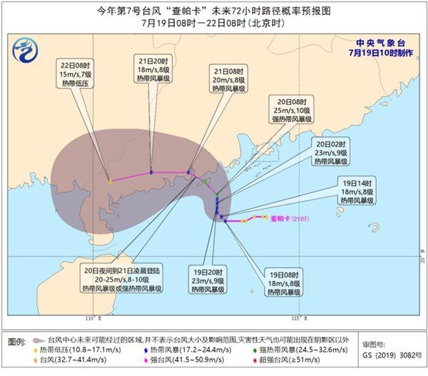 帕卡最新消息路径深度解读