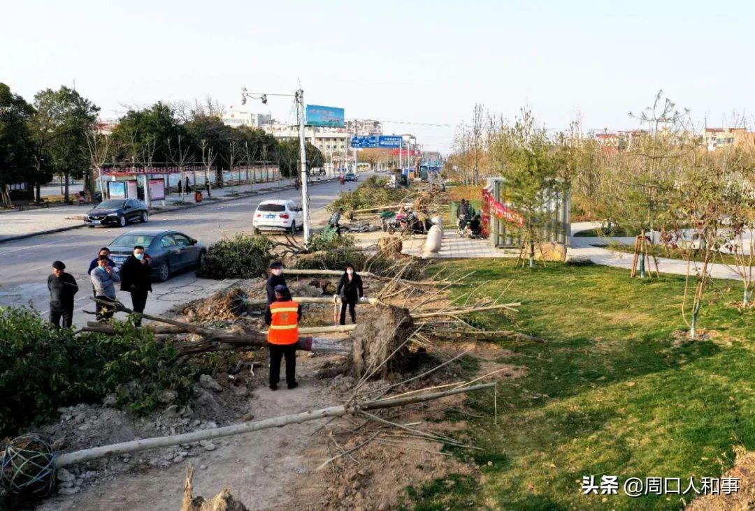 郸城洺河未来繁荣蓝图，最新规划路图揭秘