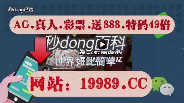 2024今晚新澳门开奖结果,详细解答解释定义_安卓19.440