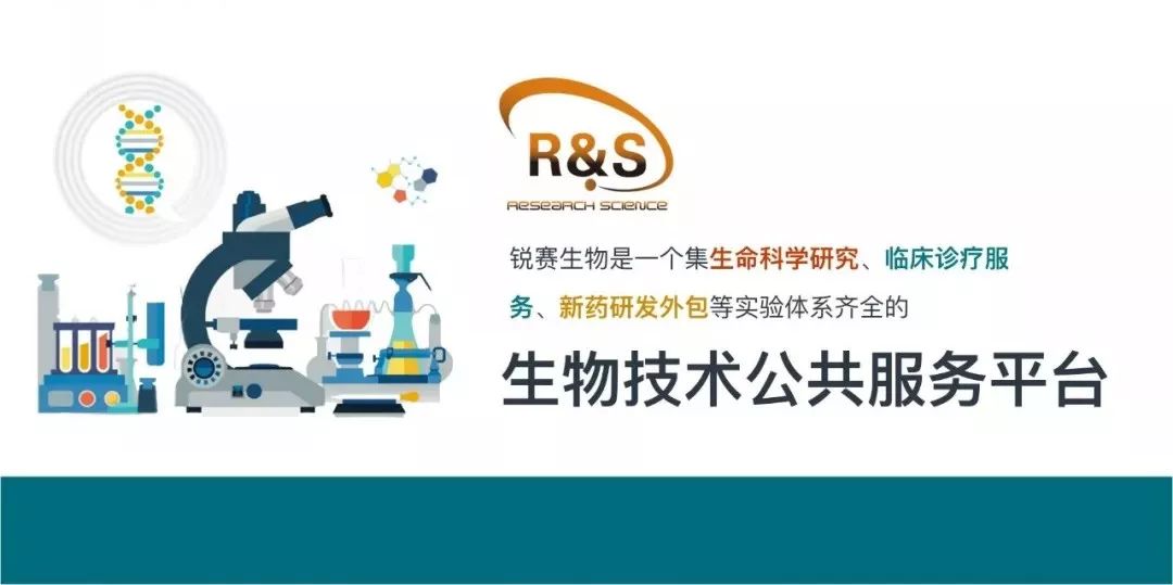 普莱柯生物招聘新动态，携手共创行业未来，共筑新篇章