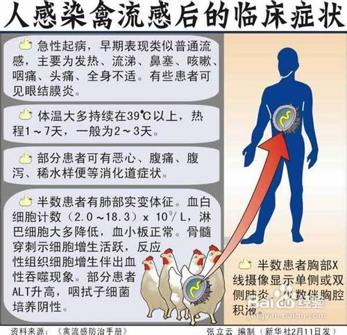 威远禽流感最新动态，全面防控，确保人民群众健康安全