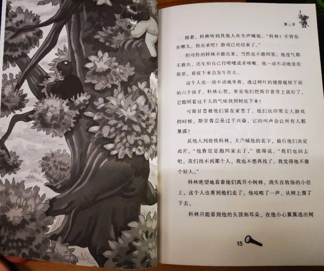 小七若水小说最新章，命运转折之际