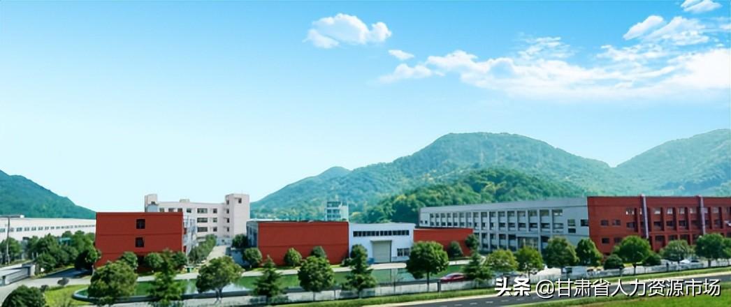 威海张村柳沟最新招聘动态与就业市场分析概览