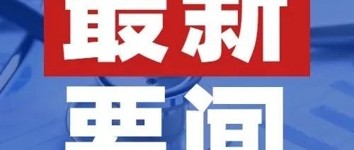 洞郎最新进展与影响分析报告发布今日消息更新