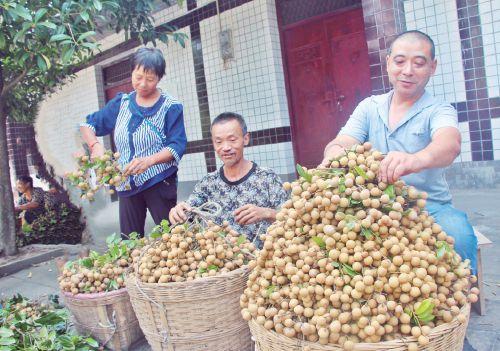 四川泸州最新新闻动态速递