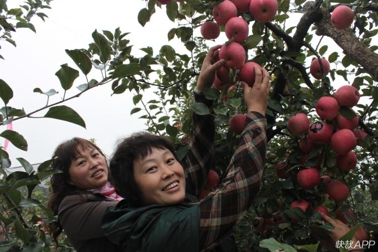 大沙河菜市场最新价格一览表