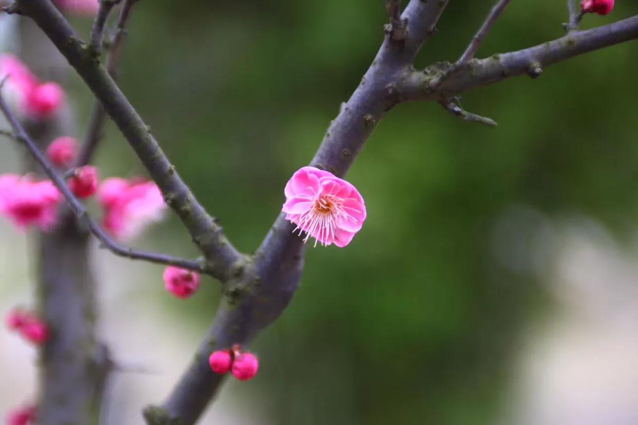 重生原始时代的探索与感悟，最新章节揭秘