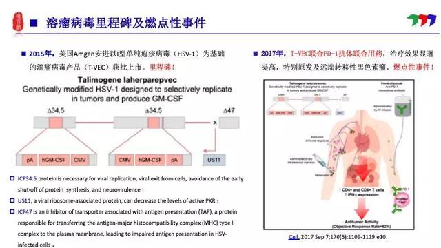 溶瘤病毒疗法最新进展及前景展望