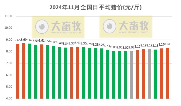 最新生猪价格动态解析