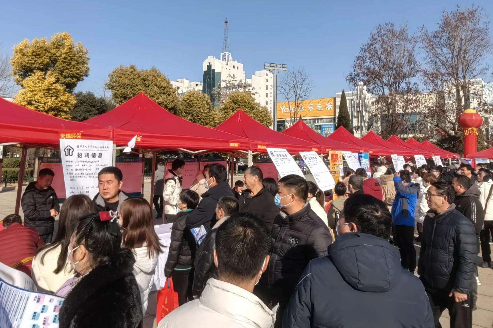 偃师吧，最新招聘动态与职业发展前沿观察