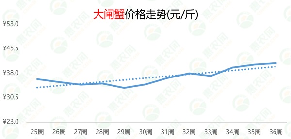 北京海蟹价格行情最新分析